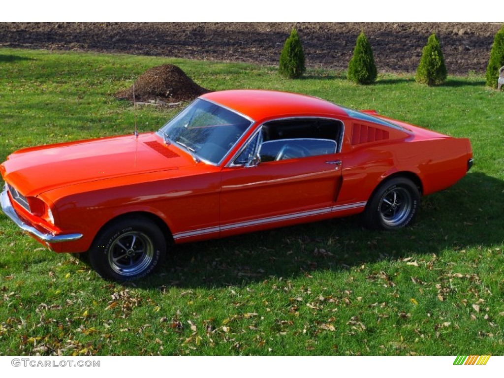 1965 Mustang Fastback - Poppy Red / Black photo #2