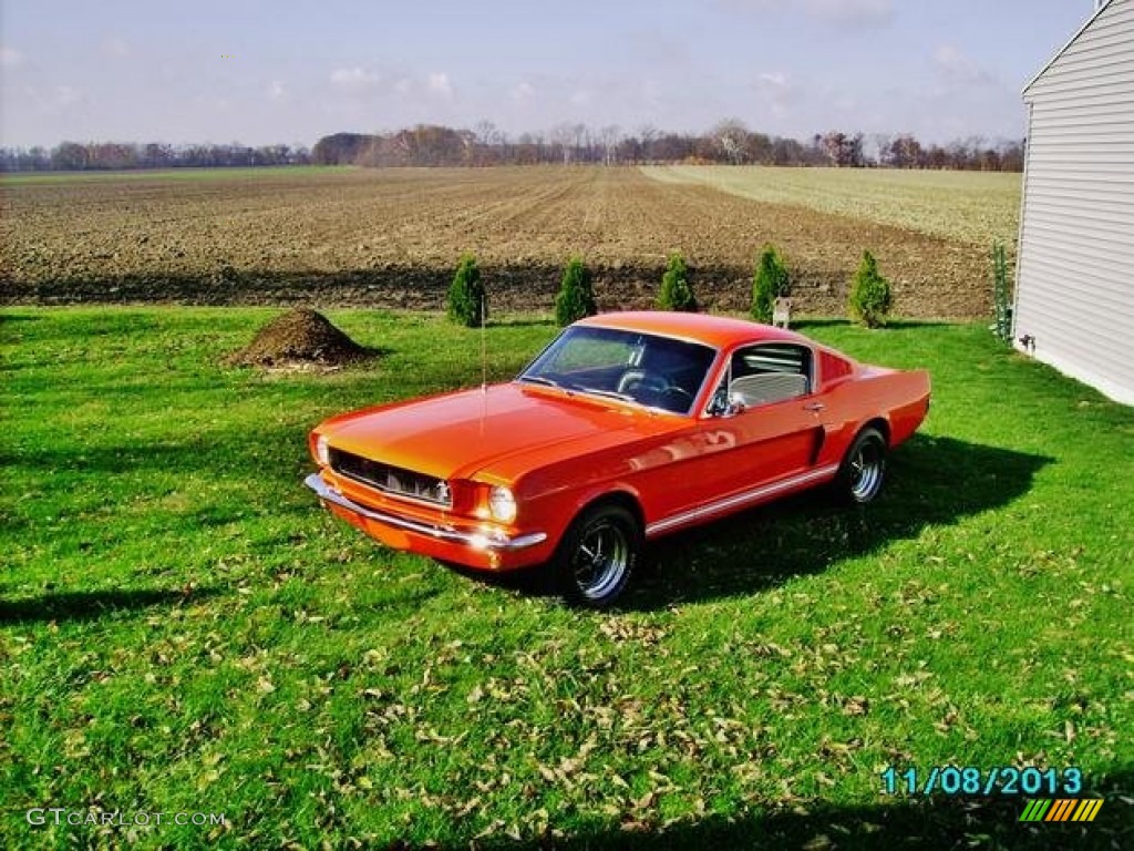 1965 Mustang Fastback - Poppy Red / Black photo #5