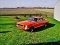 Poppy Red - Mustang Fastback Photo No. 5