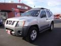 Silver Lightning Metallic - Xterra SE 4x4 Photo No. 3