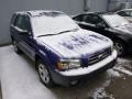 2004 Pacifica Blue Pearl Subaru Forester 2.5 X #89275022