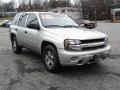 Silverstone Metallic - TrailBlazer LS 4x4 Photo No. 2