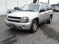Silverstone Metallic - TrailBlazer LS 4x4 Photo No. 11