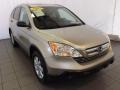 Borrego Beige Metallic 2007 Honda CR-V EX