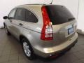 Borrego Beige Metallic - CR-V EX Photo No. 6