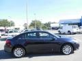 Blackberry Pearl Coat - 200 Touring Sedan Photo No. 9