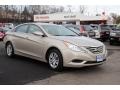 Camel Pearl - Sonata GLS Photo No. 1