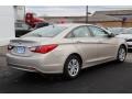 Camel Pearl - Sonata GLS Photo No. 4