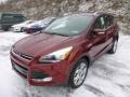 2014 Sunset Ford Escape Titanium 2.0L EcoBoost 4WD  photo #5