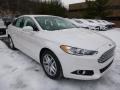 White Platinum - Fusion SE EcoBoost Photo No. 1