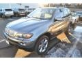 Sterling Grey Metallic - X5 4.4i Photo No. 4