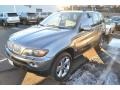 2005 Sterling Grey Metallic BMW X5 4.4i  photo #4