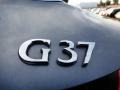 2010 Graphite Shadow Infiniti G 37 Journey Coupe  photo #21