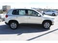 White Gold Metallic - Tiguan S Photo No. 9