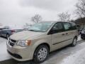Cashmere Pearl - Grand Caravan American Value Package Photo No. 1