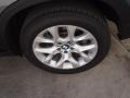 Platinum Gray Metallic - X5 xDrive 35i Photo No. 9