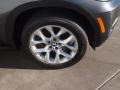 Platinum Gray Metallic - X5 xDrive 35i Photo No. 2