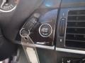 Platinum Gray Metallic - X5 xDrive 35i Photo No. 25