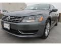 Platinum Gray Metallic - Passat 2.5L SEL Photo No. 3