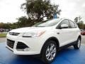 2014 White Platinum Ford Escape Titanium 1.6L EcoBoost  photo #1