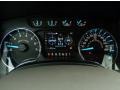 Pale Adobe Gauges Photo for 2014 Ford F150 #89345707