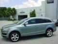 2007 Sycamore Green Metallic Audi Q7 3.6 Premium quattro  photo #2