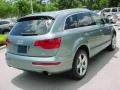 2007 Sycamore Green Metallic Audi Q7 3.6 Premium quattro  photo #6