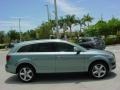 2007 Sycamore Green Metallic Audi Q7 3.6 Premium quattro  photo #7