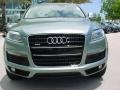 2007 Sycamore Green Metallic Audi Q7 3.6 Premium quattro  photo #8
