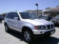 Titanium Silver Metallic - X5 3.0i Photo No. 1