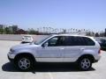 Titanium Silver Metallic - X5 3.0i Photo No. 2