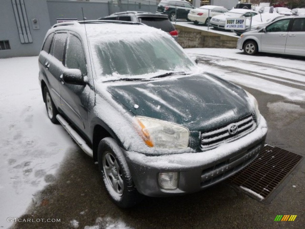 2002 RAV4 4WD - Rainforest Green Pearl / Gray photo #1