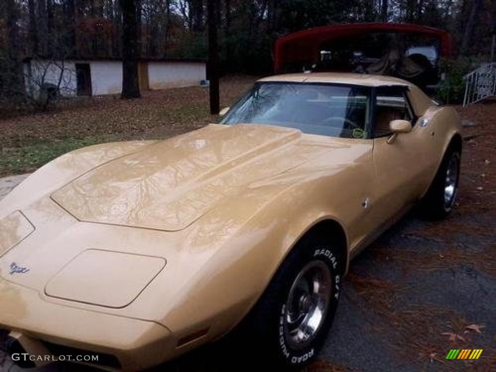 1977 Corvette Coupe - Tan / Buckskin photo #1