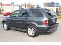 Sage Brush Pearl - MDX Touring Photo No. 7