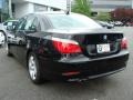 2008 Jet Black BMW 5 Series 528i Sedan  photo #6