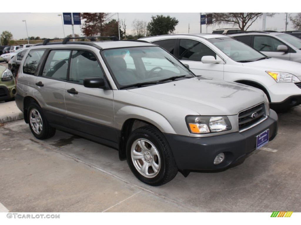 Crystal Gray Metallic 2005 Subaru Forester 2.5 X Exterior Photo #89361973