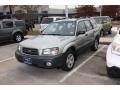 Crystal Gray Metallic - Forester 2.5 X Photo No. 2