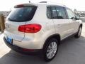 White Gold Metallic - Tiguan SE Photo No. 6