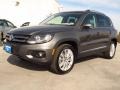 Pepper Gray Metallic - Tiguan SEL Photo No. 3