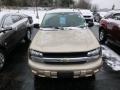 Sandstone Metallic - TrailBlazer LS 4x4 Photo No. 2