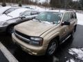 Sandstone Metallic - TrailBlazer LS 4x4 Photo No. 3