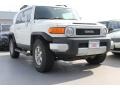 Iceberg White 2010 Toyota FJ Cruiser 