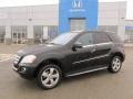 Black - ML 350 4Matic Photo No. 1