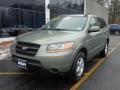 Natural Khaki Green 2008 Hyundai Santa Fe GLS