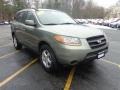 Natural Khaki Green - Santa Fe GLS Photo No. 3