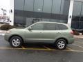 Natural Khaki Green - Santa Fe GLS Photo No. 8