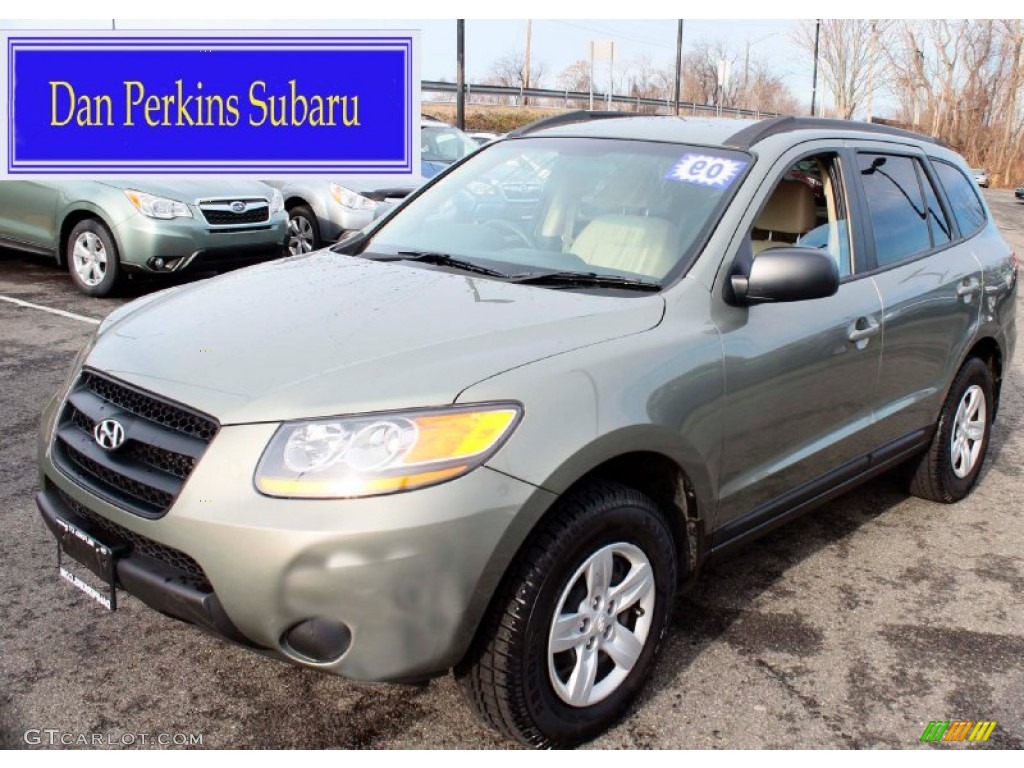 2009 Santa Fe GLS - Natural Khaki / Beige photo #1