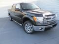 2014 Tuxedo Black Ford F150 XLT SuperCrew  photo #2