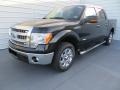 2014 Tuxedo Black Ford F150 XLT SuperCrew  photo #7