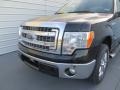 Tuxedo Black - F150 XLT SuperCrew Photo No. 11